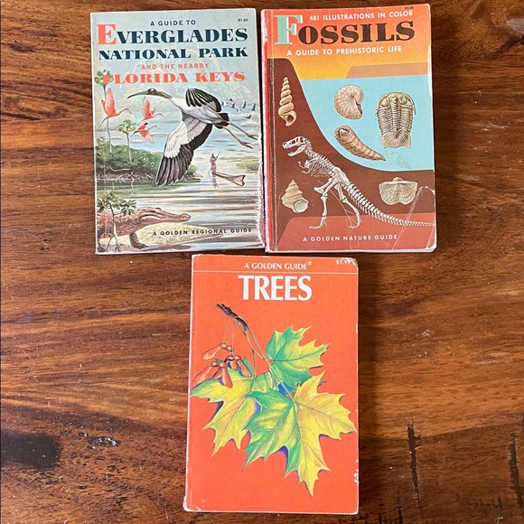 13 GOLDEN GUIDE Vintage Reference Books: Shells Fossils Spiders Trees Rocks MORE - Picture 9 of 15